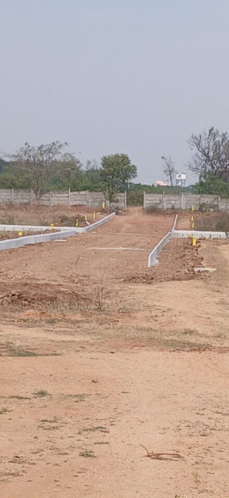Sunrise Garden marked plots