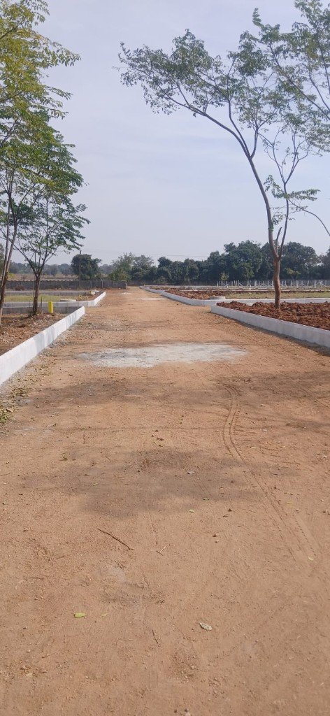 Sunrise Garden internal road