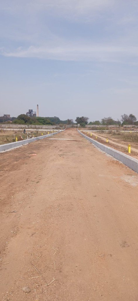 Sunrise Garden plot road with markers