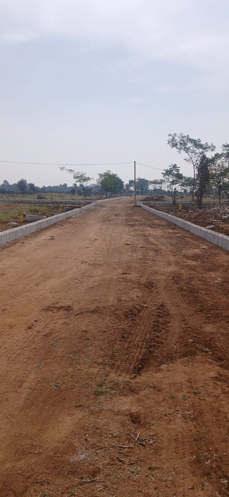 Sunrise Garden developing road