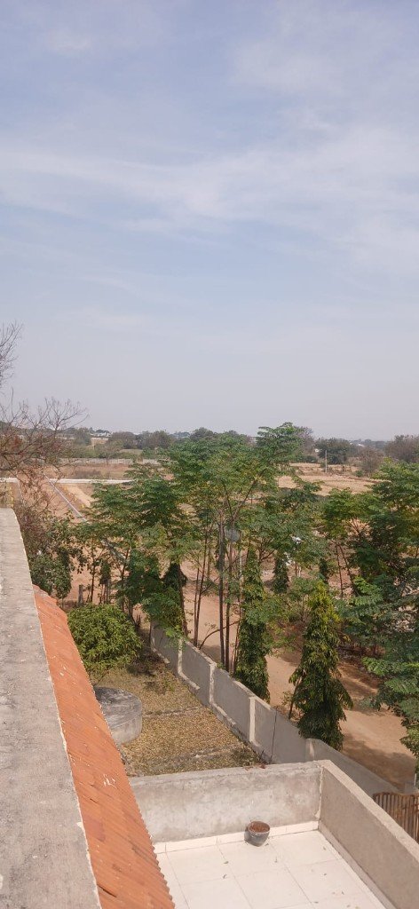 Sunrise Garden site view